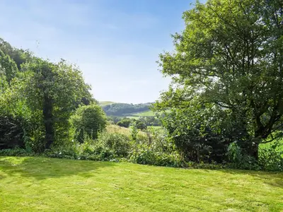 a grassy field with a tree and some bushes at Pentre Cwm Bach in Llansilin