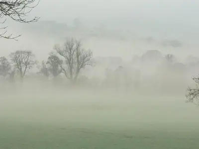 a foggy field with trees in the background at Pentre Cwm Bach in Llansilin