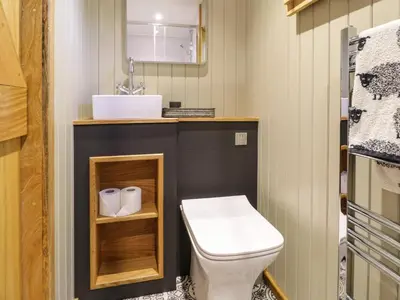 a bathroom with a white toilet and a sink at Llethr - Shepherds Hut in Llanbedr