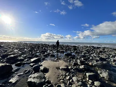 a person standing on a rocky beach at Granary Retreat for 2 inc shared Dog Field in Bryn-crug