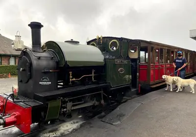 a man and a dog standing next to a train at Granary Retreat for 2 inc shared Dog Field in Bryn-crug