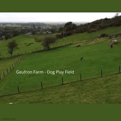 a green field with a dog play field at Cowshed Cottage with Log Burner & Shared Dog Field in Bryn-crug