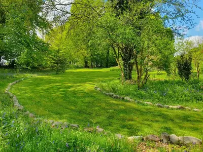 a field of grass with trees and a path at Ty Twt in Lampeter