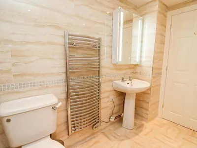 a bathroom with a toilet and a sink and a mirror at Bridgend Cottages in Llandrindod Wells