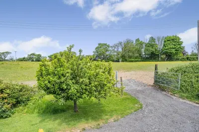 a tree in a field next to a fence at 1 Bed in Aberaeron oc-bow300 in Henfynyw Upper