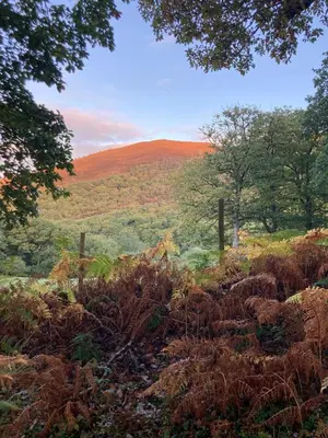 a field with trees and a hill in the distance at Cadwgan House in Rhayader