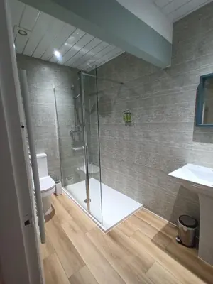 a bathroom with a glass shower and a toilet at Baskerville House in Clyro