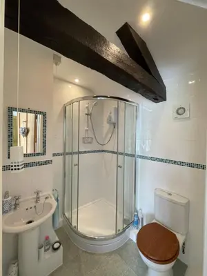 a bathroom with a shower and a toilet and a sink at 200 year old Gardener's cottage, Mid Wales in Llanidloes