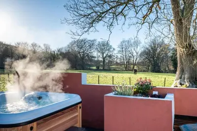 a hot tub with smoke coming out of it next to a tree at 2 Bed in Tregaron oc-bow298 in Tregaron