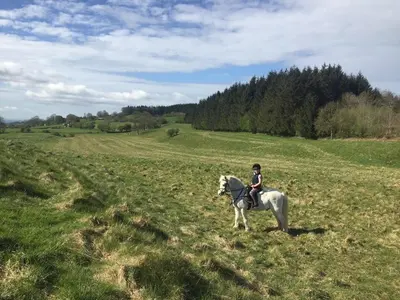 a person riding a white horse in a field at The Barn at Pentregaer Ucha, with tennis court and lake in Oswestry