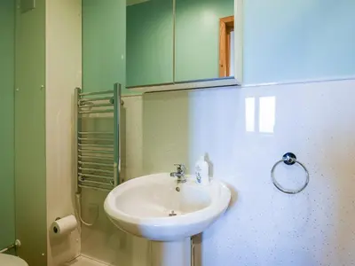 a bathroom with a white sink and a green cabinet at Yr Hen Feudy At Pentre Farm in Llansilin