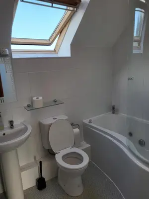 a bathroom with a toilet and a sink and a skylight at The Granary, Bryncarnedd cottages in Aberystwyth