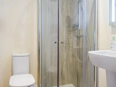 a bathroom with a shower and a toilet and a sink at Wheelwright Cottage in Clunbury