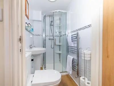 a bathroom with a shower and a toilet and a sink at A unique and cosy cottage - optional hot tub - Pass the Keys in Church Stretton