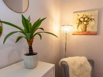 a plant in a vase on a table next to a lamp at Central cosy home 5 minutes walk from Shrewsbury - Pass the Keys in Shrewsbury