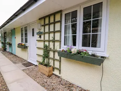 a house with two windows and potted plants on it at Primrose Cottage in Llandrindod Wells