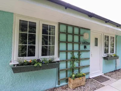 a blue house with two windows and plants on it at Honeysuckle Cottage in Llandrindod Wells