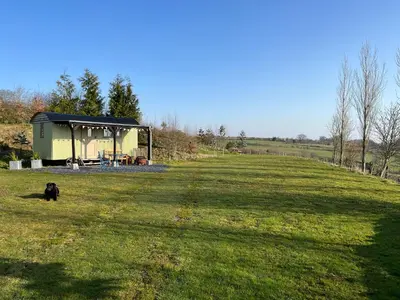 a dog sitting in the grass in front of a shed at Pen Bryn Shepherd Hut in Hay-on-Wye