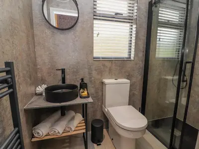 a bathroom with a toilet and a sink and a shower at Pool View in Meifod