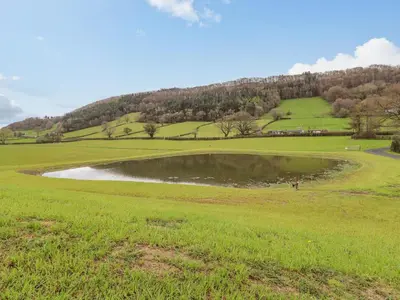 a pond in the middle of a green field at Pool View in Meifod