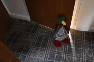 a rubber duck sitting in the corner of a door at HEDDFAN, Luxury 3 bedroom timber lodge, Now with WiFi, Caer Beris Holiday Park, Builth Wells, SORRY NO TRADESMEN OR CONTRACTORS ALLOWED in Builth Wells