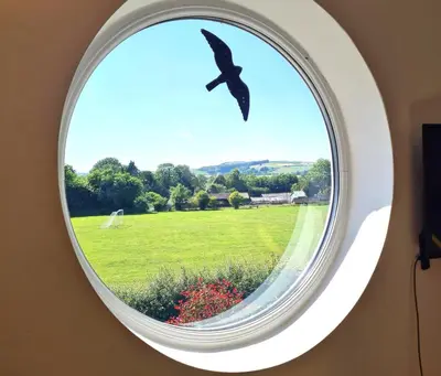 a window with a bird flying in the sky at Topsy-Turvy, Gardeners Cottage, Clungunford, Ludlow, Shropshire SY70PN in Broome
