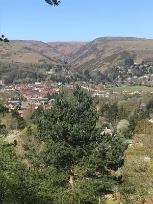 a tree in the foreground with a town in the background at Large Ground floor apartment in the heart of Church Stretton with free parking in Church Stretton