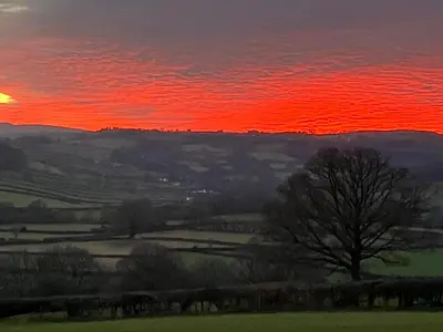 a sunset over a field with a tree in the foreground at Beaconsview B&B in Brecon