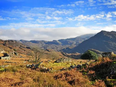 a view of a field with mountains in the background at Tir Gafr in Harlech