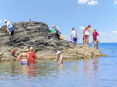 a group of people in the water at the beach at Seascape in New Quay