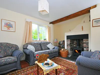 a living room with two couches and a fireplace at Bryn Araul in Rhydymain