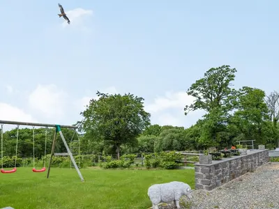a sheep standing in a park with a swing at The Old Cow Shed At Ty Hir in Cilcennin
