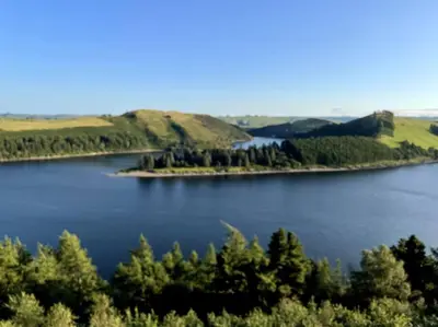 an island in the middle of a lake at Y Felin Bed and Breakfast and Smallholding in Caersws