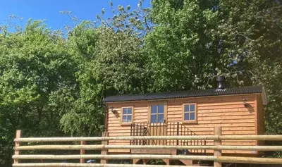 a wooden cabin with a fence in front of trees at The Snug at Coed Y Gaer in Oswestry