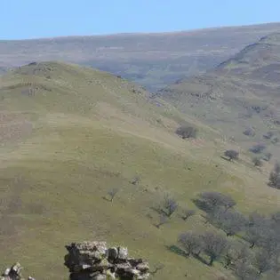 a view of a green hill with trees on it at Dinas Castle Inn (The Dragons Back) in Brecon