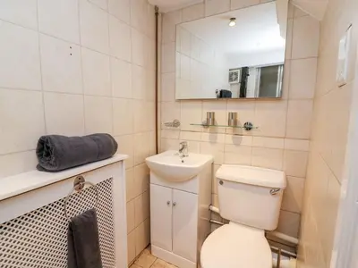 a bathroom with a toilet and a sink and a mirror at Triangle Inn Coachouse in Rhayader