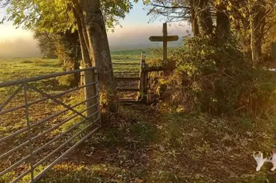 a cat walking by a fence next to a cross at 1 Bed Lodge-Sleeps 4-Pet Friendly-Free Parking in Hereford