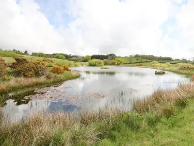 a small pond in a field with grass and trees at Llyn Cae Ty Nant Fishery Holiday Let in Lampeter