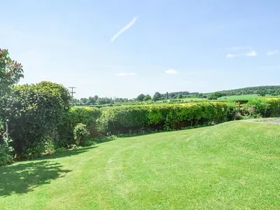 a grassy yard with bushes and trees in a field at Barnleigh in Ludlow