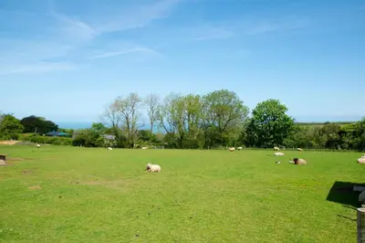 a herd of sheep laying in a field of grass at 3 Bed in Aberaeron oc-bow330 in Ciliau-Aeron