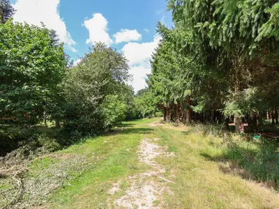 a dirt road with trees on either side at No1 The Lodge in Bishops Castle