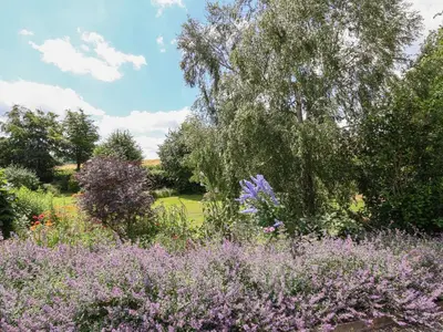 a garden with purple flowers and a tree at No1 The Lodge in Bishops Castle