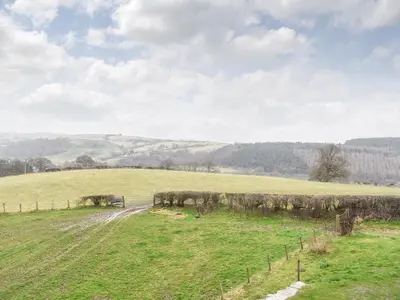 a grassy field with a dirt road in a field at Llwyn in Bettws Gwerfil Goch