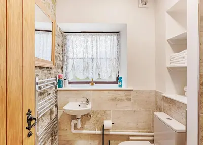 a bathroom with a sink and a toilet and a window at Sgubor Fach in Pen-y-bont-fawr