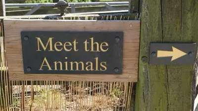 a sign that reads meet the animals with an arrow at Shepherd's Watch Cottage - 5* Cyfie Farm with private hot tub in Llanfyllin