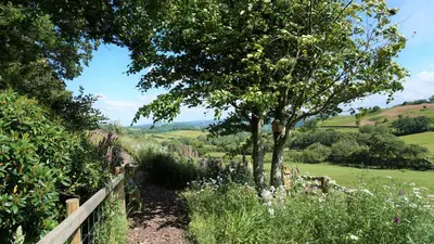 a garden with a tree and a fence at Shepherd's Watch Cottage - 5* Cyfie Farm with private hot tub in Llanfyllin