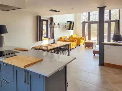a kitchen with blue cabinets and a living room at Red Kite Lodge in Tregaron