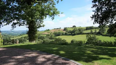 a grassy hill with a tree and a road at Little Acorn - Luxury shepherd's hut / lodge with private hot tub and garden in Llanfyllin