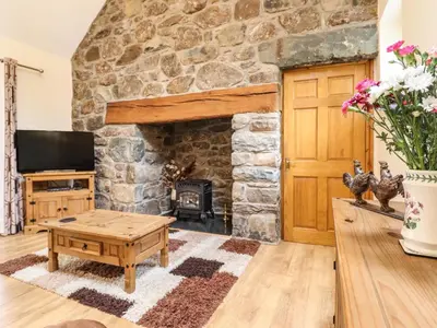a stone fireplace in a living room with a wooden door at Caerffynon Bach in Dyffryn
