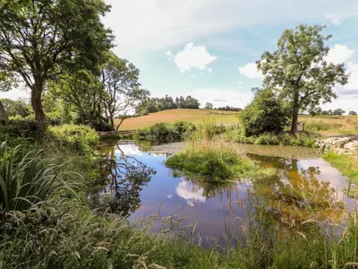 a pond in a field with trees and grass at The Moorhen Retreat in Oswestry
